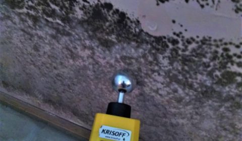 BIOFRESH pomiary zagrzybionej ściany