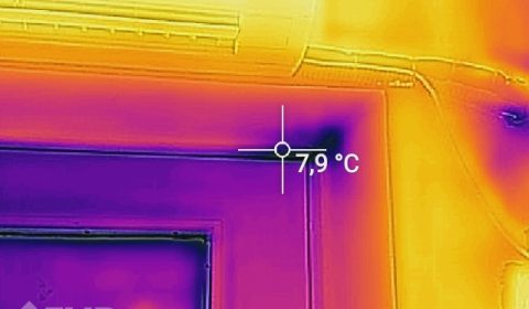 BIOFRESH Pomiary termowizyjne Mrągowo